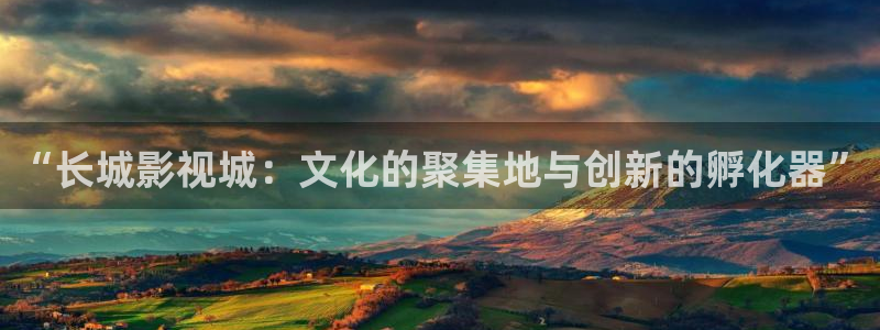 日本高清不卡网站