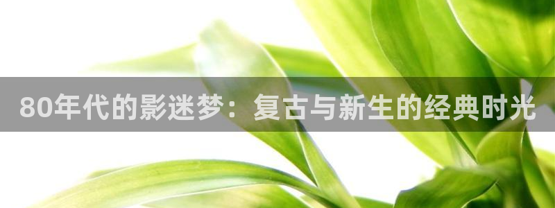 69视频在线看中文在线观看不卡