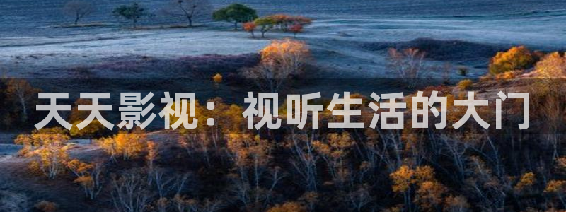 不卡的视频播放器：天天影视：视听生活的大门