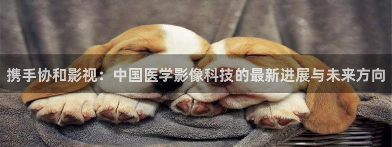 精品不卡在线视频：携手协和影视：中国医学影像科技的最新进展与未来方向